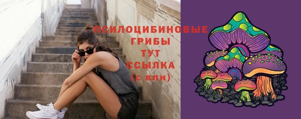 PSILOCYBIN Аркадак