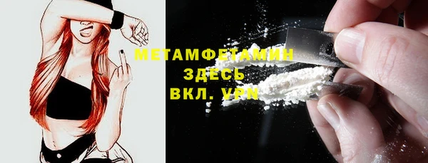 PSILOCYBIN Аркадак